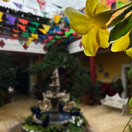 Copa De Oro Hotel Boutique Mascota Zewnętrze zdjęcie