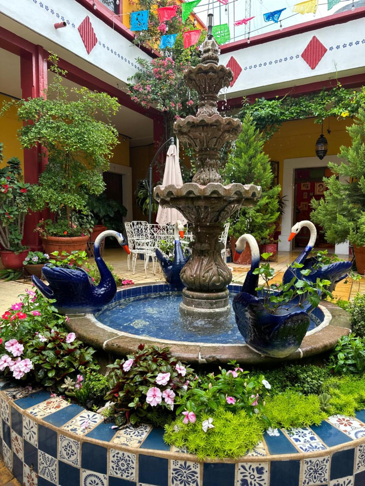 Copa De Oro Hotel Boutique Mascota Zewnętrze zdjęcie