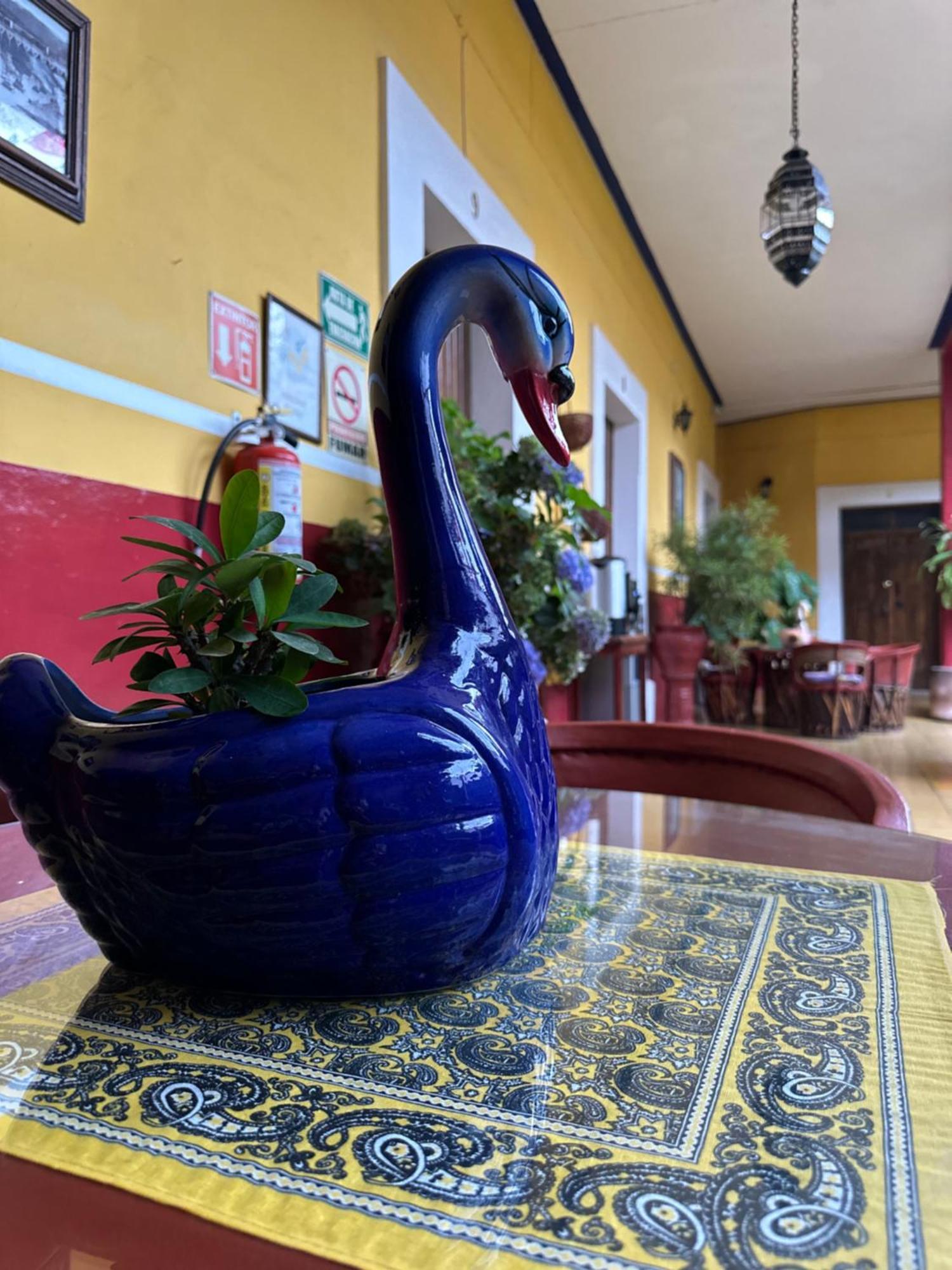 Copa De Oro Hotel Boutique Mascota Zewnętrze zdjęcie