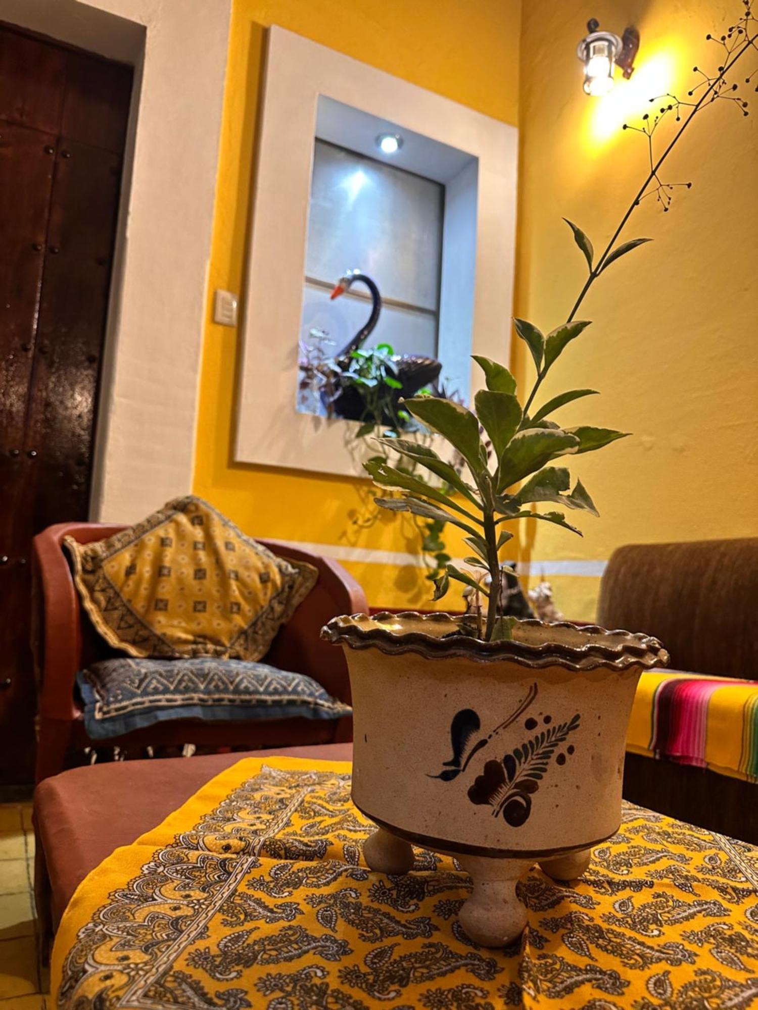 Copa De Oro Hotel Boutique Mascota Zewnętrze zdjęcie