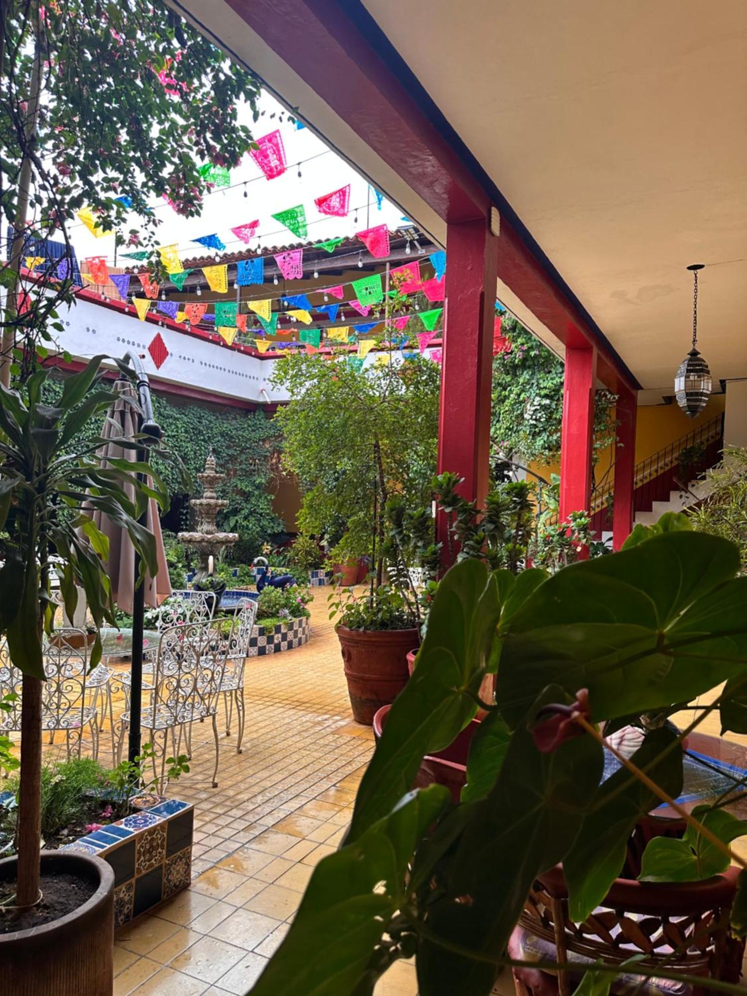 Copa De Oro Hotel Boutique Mascota Zewnętrze zdjęcie