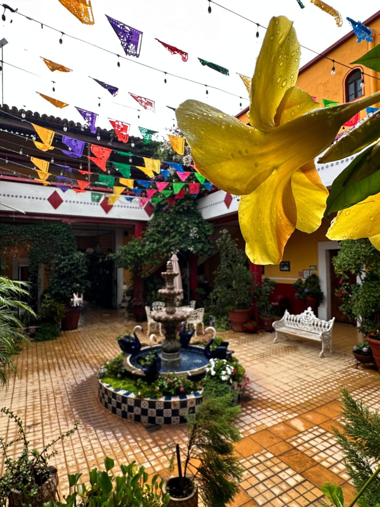 Copa De Oro Hotel Boutique Mascota Zewnętrze zdjęcie