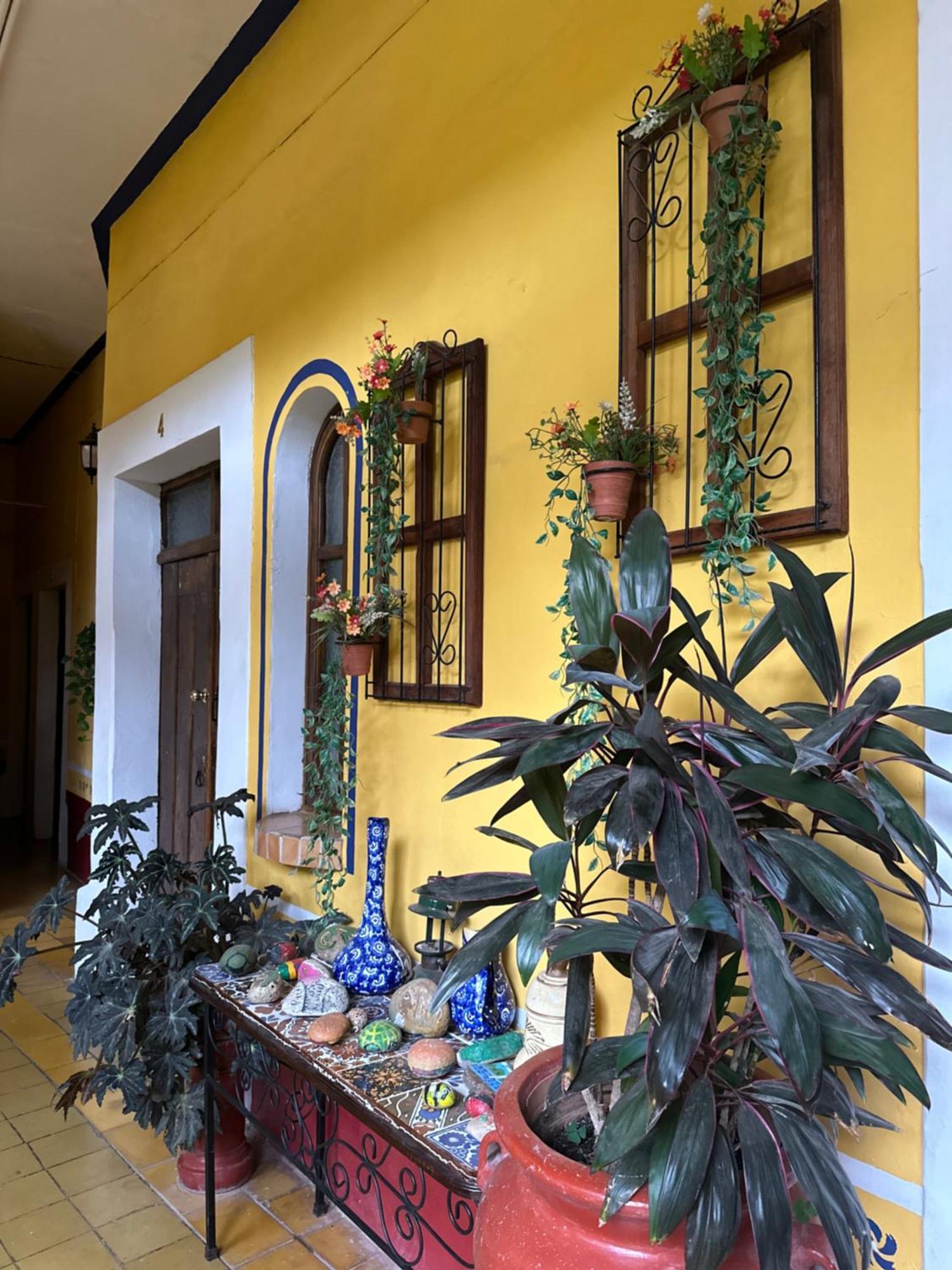 Copa De Oro Hotel Boutique Mascota Zewnętrze zdjęcie