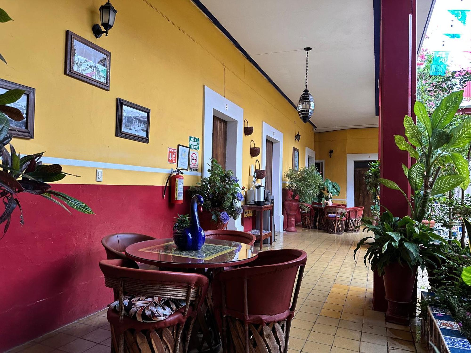 Copa De Oro Hotel Boutique Mascota Zewnętrze zdjęcie