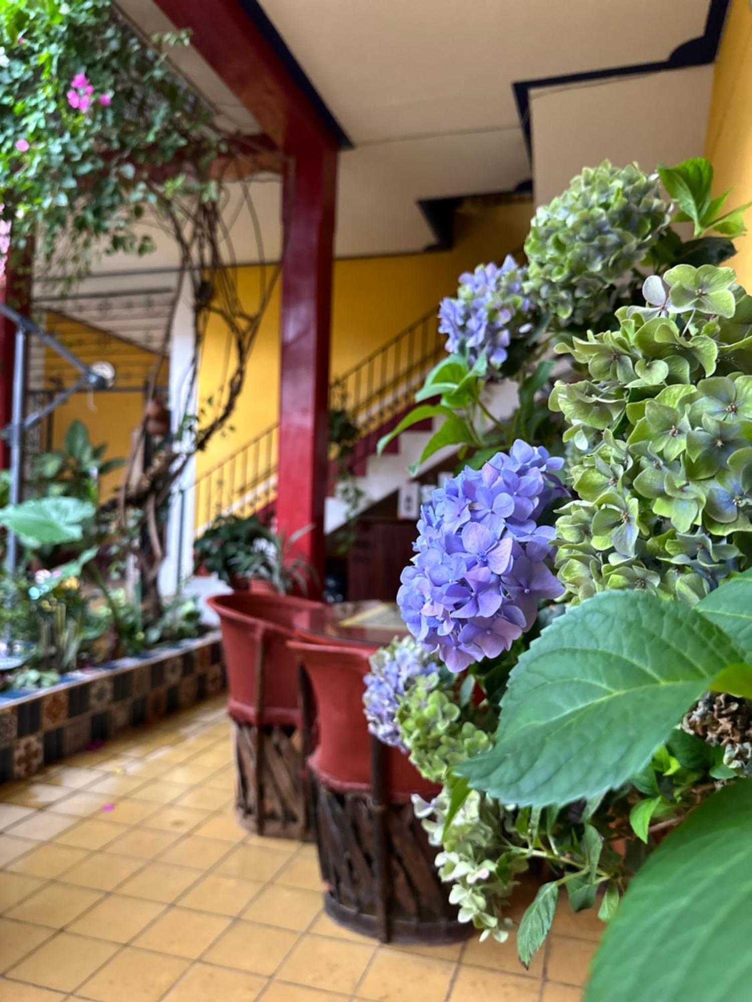 Copa De Oro Hotel Boutique Mascota Zewnętrze zdjęcie
