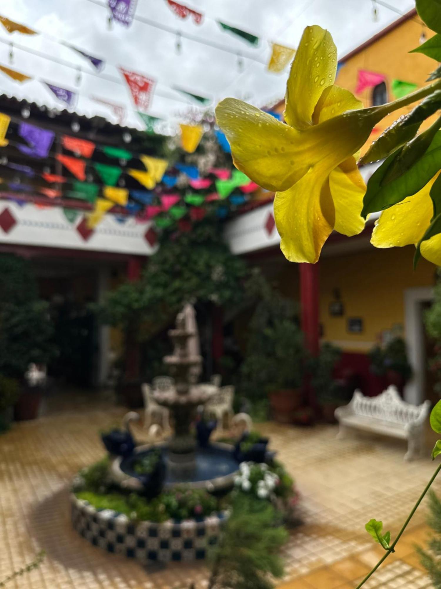 Copa De Oro Hotel Boutique Mascota Zewnętrze zdjęcie