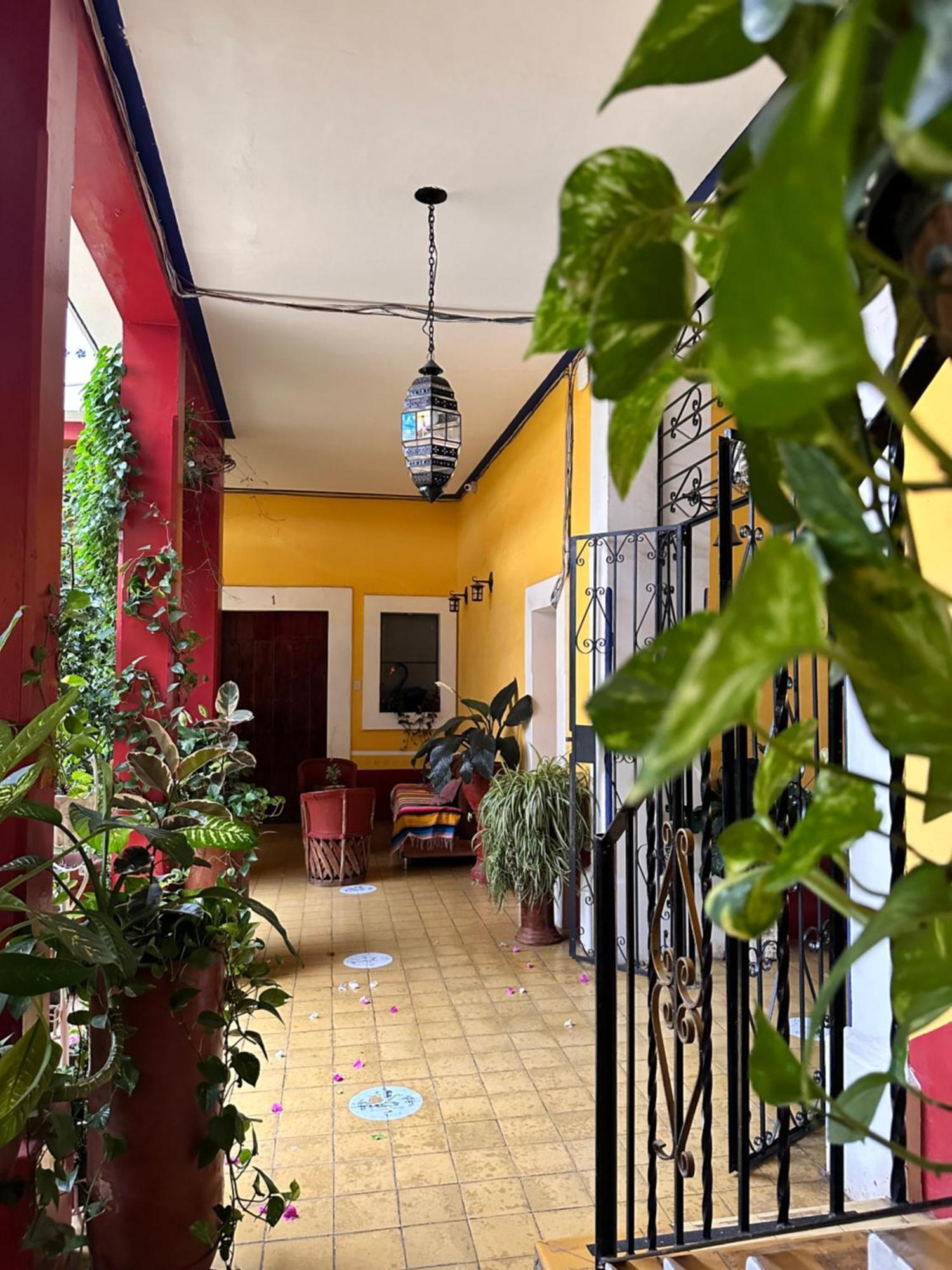 Copa De Oro Hotel Boutique Mascota Zewnętrze zdjęcie