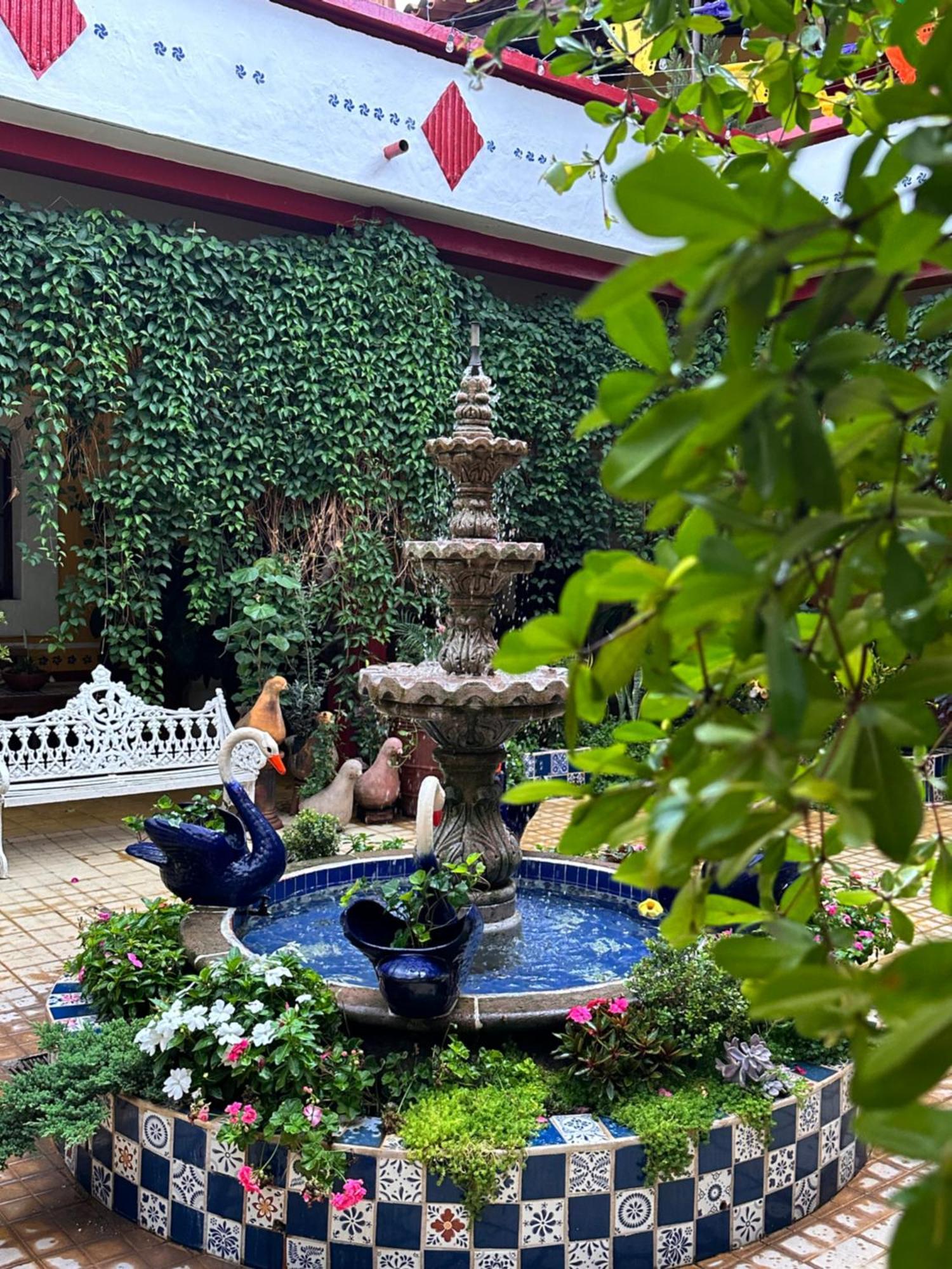 Copa De Oro Hotel Boutique Mascota Zewnętrze zdjęcie