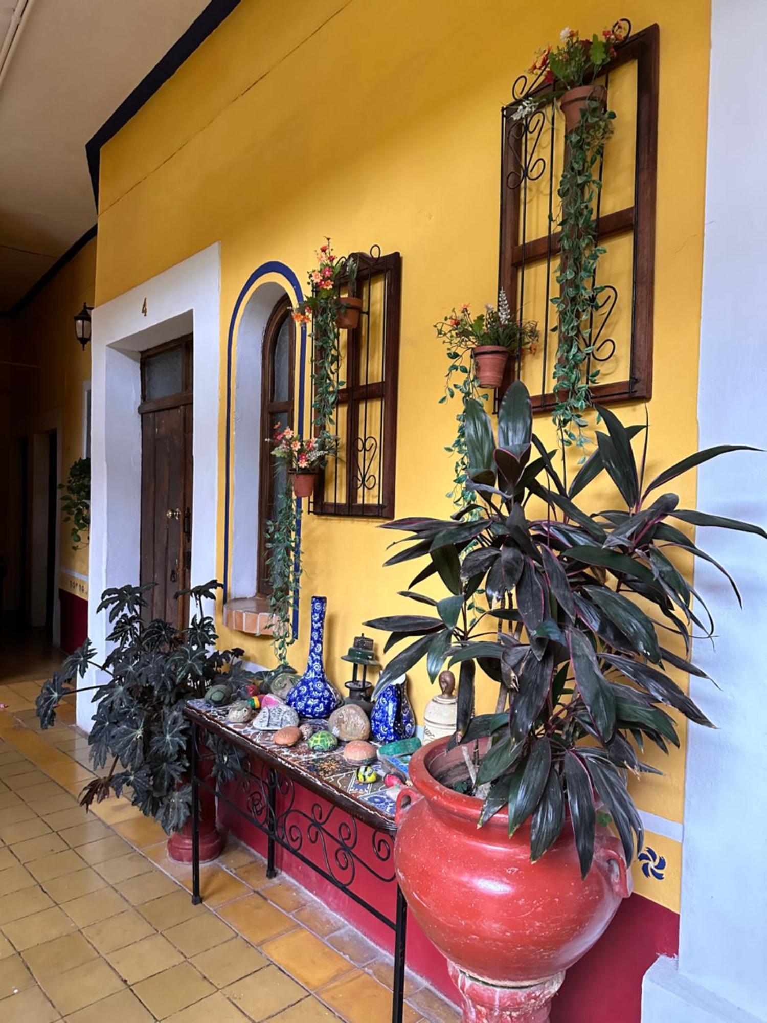 Copa De Oro Hotel Boutique Mascota Zewnętrze zdjęcie