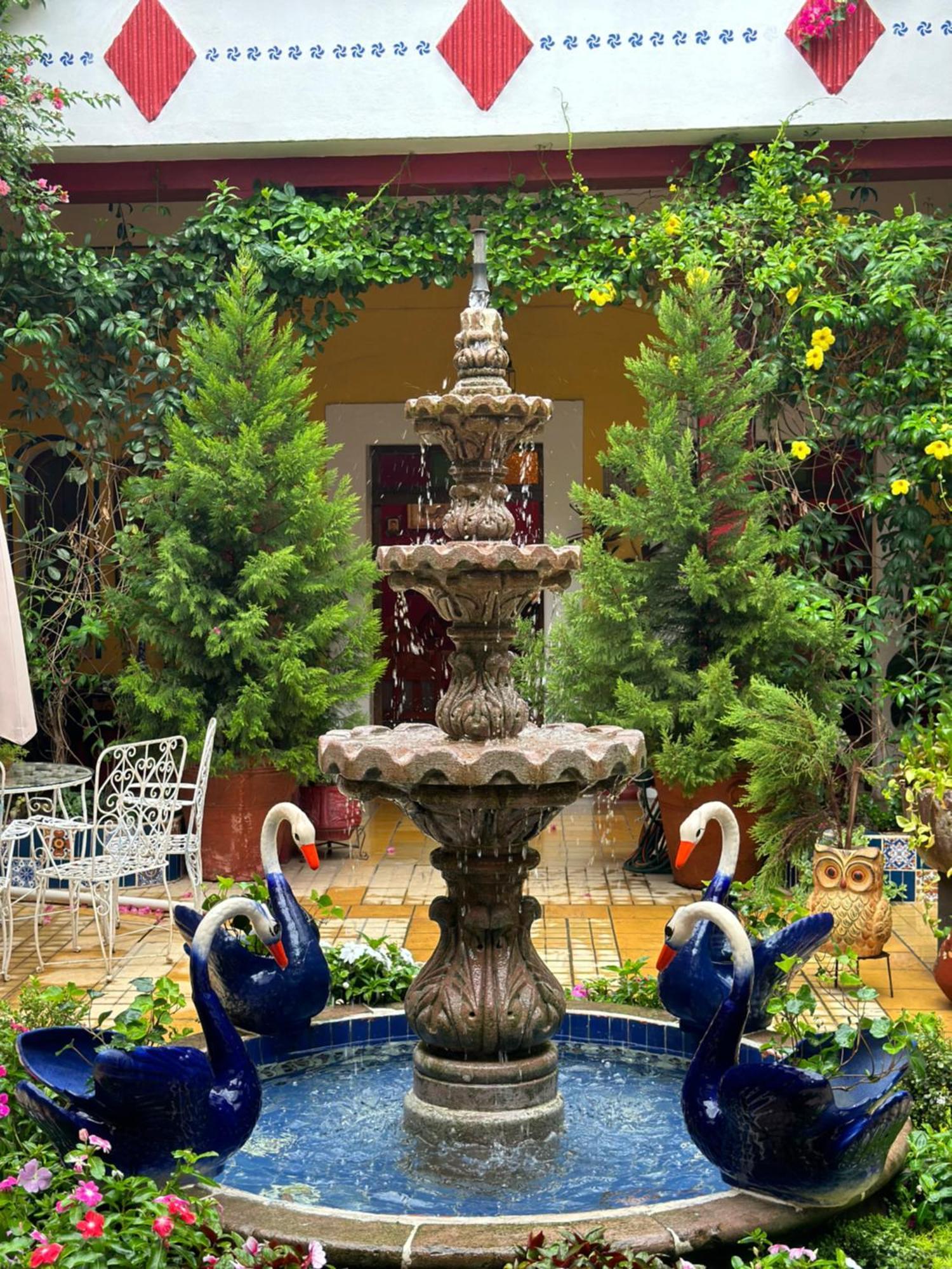 Copa De Oro Hotel Boutique Mascota Zewnętrze zdjęcie